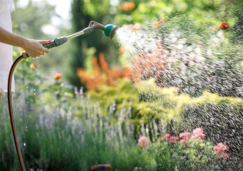 7 Ways to Help Your Garden Cope With Heat Waves
