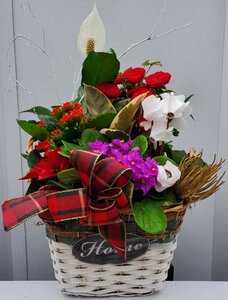 Holiday Planter - Medium