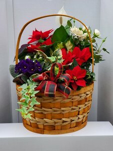 Holiday Planter - Large