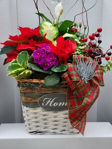 Holiday Planter - Extra Large