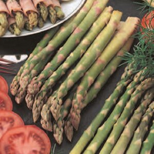 ASPARAGUS MARY WASHINGTON