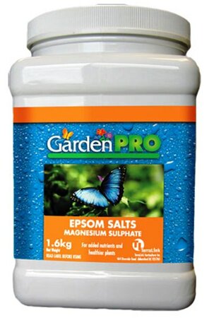 GP EPSOM SALTS 1.6 KG