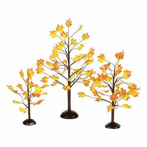 AUTUMN MAPLE TREES Set/3pc